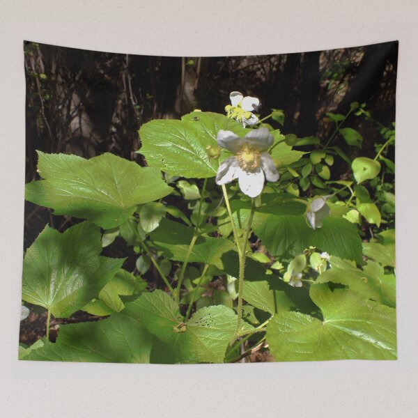 Item preview, Scenic forest and mountain nature designed and sold by Ventures1.