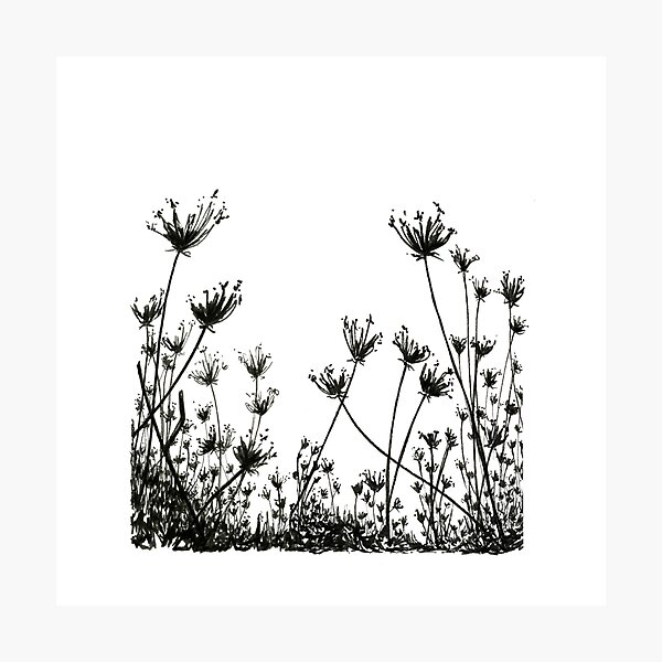 Item preview, Meadow #2 designed and sold by Laura Carim Todd.