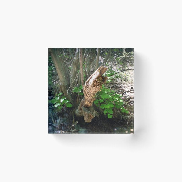 Item preview, Scenic forest and mountain nature designed and sold by Ventures1.