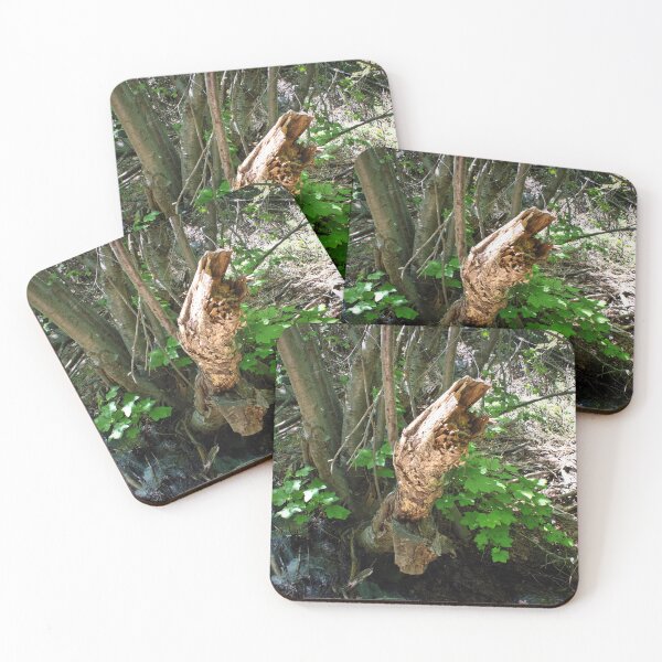 Item preview, Scenic forest and mountain nature designed and sold by Ventures1.