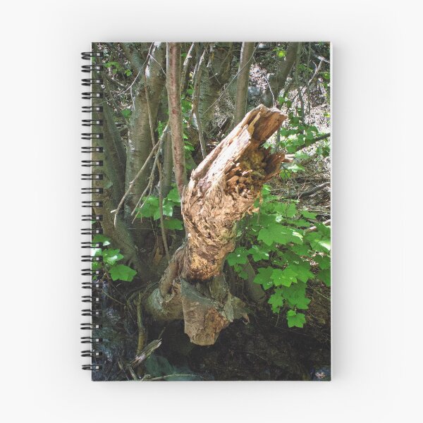Item preview, Scenic forest and mountain nature designed and sold by Ventures1.