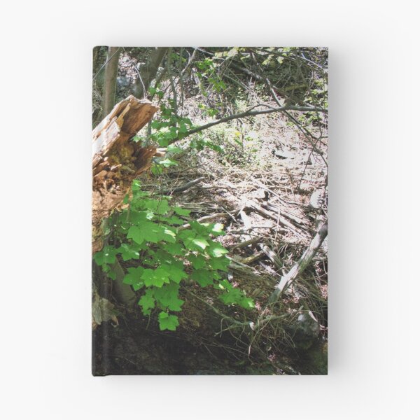 Item preview, Scenic forest and mountain nature designed and sold by Ventures1.