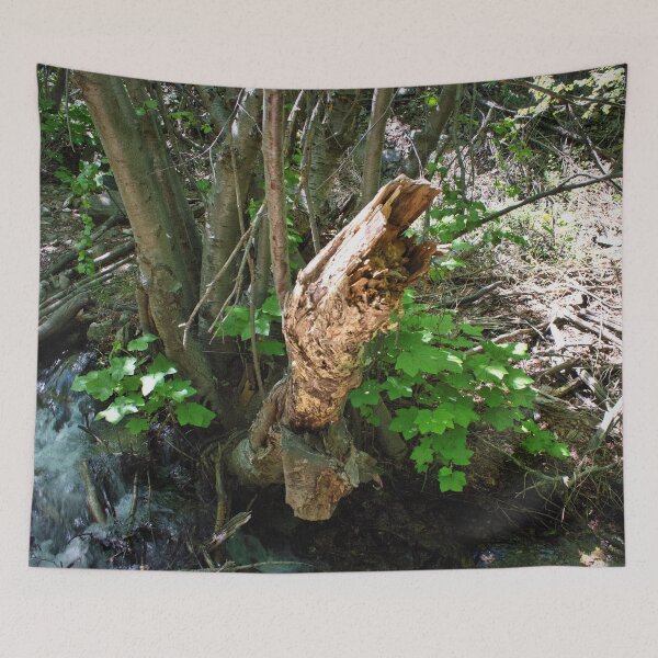 Item preview, Scenic forest and mountain nature designed and sold by Ventures1.