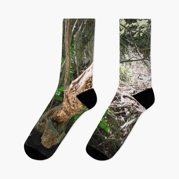 Item preview, Scenic forest and mountain nature designed and sold by Ventures1.