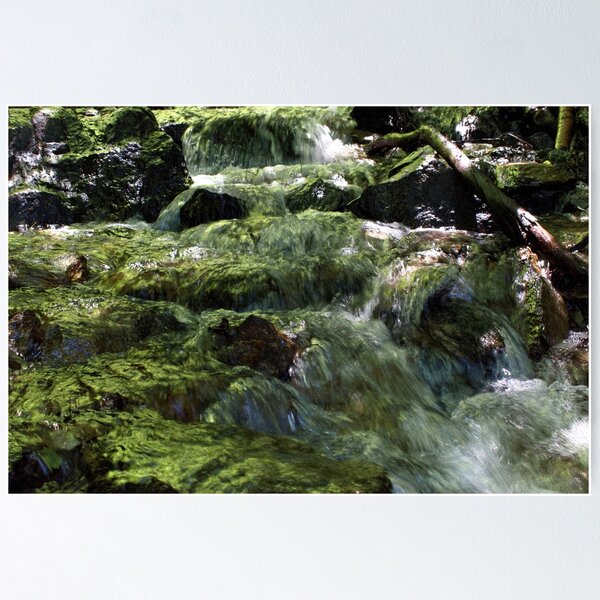 Item preview, Scenic forest and mountain nature designed and sold by Ventures1.