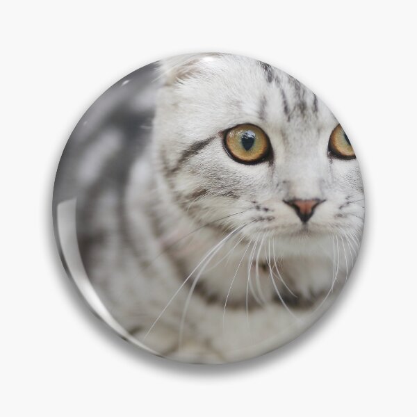 Item preview, Cute White Cat designed and sold by Jozy-Merch.