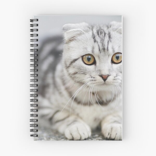 Item preview, Cute White Cat designed and sold by Jozy-Merch.