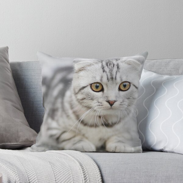 Item preview, Cute White Cat designed and sold by Jozy-Merch.
