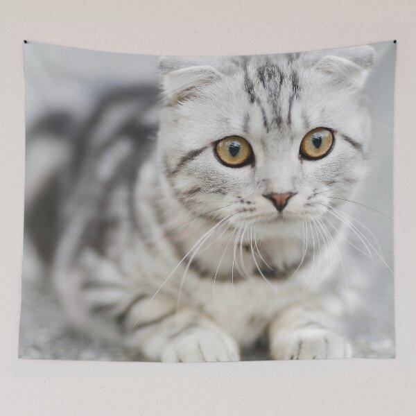 Item preview, Cute White Cat designed and sold by Jozy-Merch.