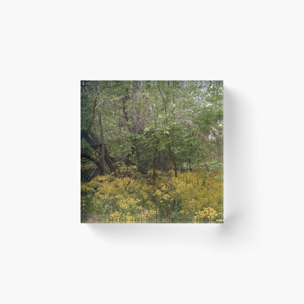 Item preview, Scenic forest and mountain nature designed and sold by Ventures1.