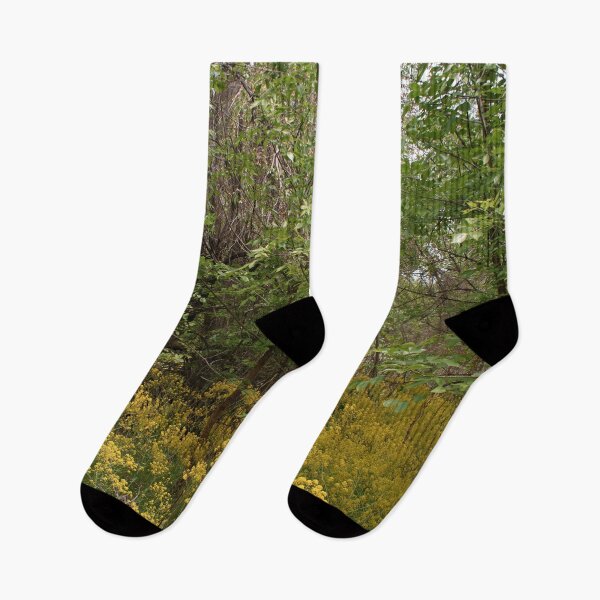 Item preview, Scenic forest and mountain nature designed and sold by Ventures1.