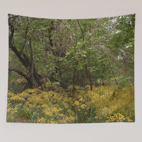 Item preview, Scenic forest and mountain nature designed and sold by Ventures1.