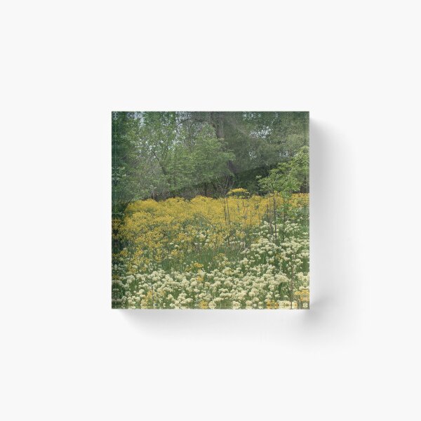 Item preview, Scenic forest and mountain nature designed and sold by Ventures1.