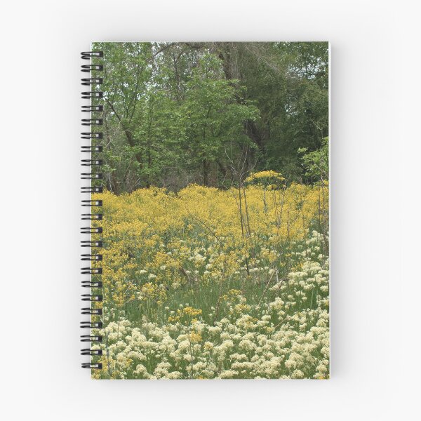 Item preview, Scenic forest and mountain nature designed and sold by Ventures1.