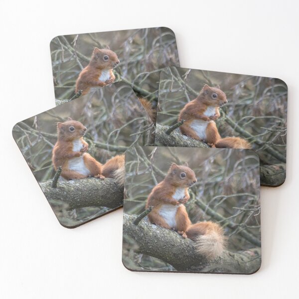 Item preview, Cute little wild woodland red squirrel in the branches designed and sold by HaleyRedshaw.