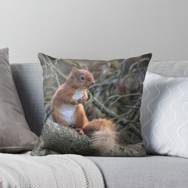 Item preview, Cute little wild woodland red squirrel in the branches designed and sold by HaleyRedshaw.