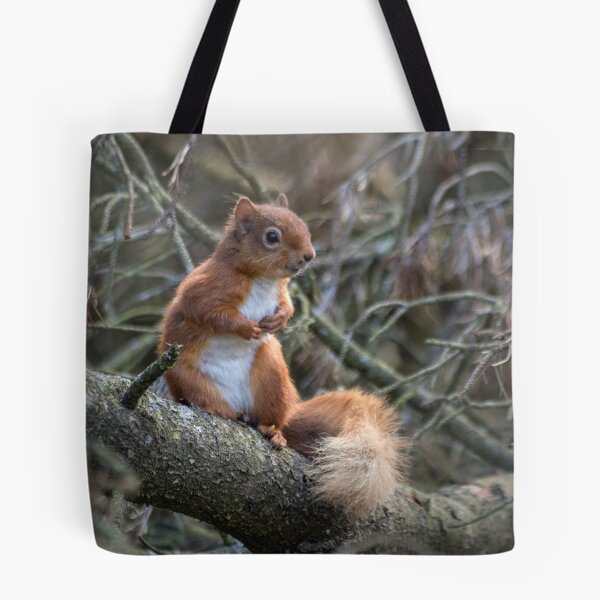 Item preview, Cute little wild woodland red squirrel in the branches designed and sold by HaleyRedshaw.