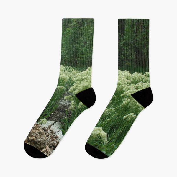 Item preview, Scenic forest and mountain nature designed and sold by Ventures1.