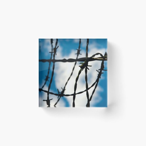 Item preview, Barbed wire designed and sold by troianifabrizio.