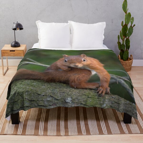 Item preview, Cute little wild woodland red squirrel in the branches designed and sold by HaleyRedshaw.