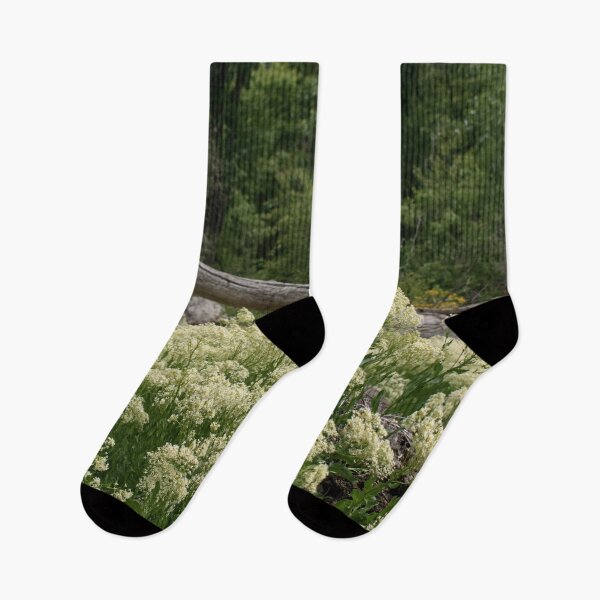 Item preview, Scenic forest and mountain nature designed and sold by Ventures1.