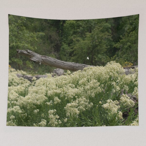 Item preview, Scenic forest and mountain nature designed and sold by Ventures1.