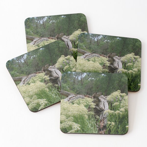 Item preview, Scenic forest and mountain nature designed and sold by Ventures1.