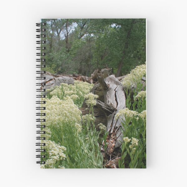 Item preview, Scenic forest and mountain nature designed and sold by Ventures1.