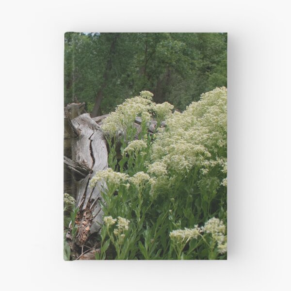 Item preview, Scenic forest and mountain nature designed and sold by Ventures1.