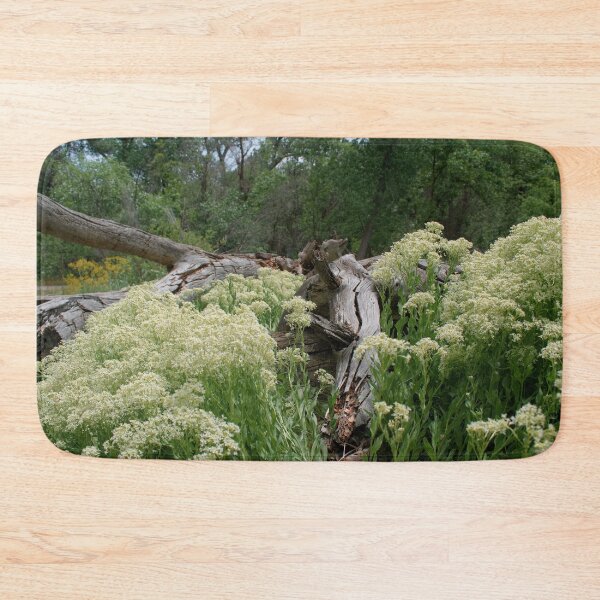 Item preview, Scenic forest and mountain nature designed and sold by Ventures1.