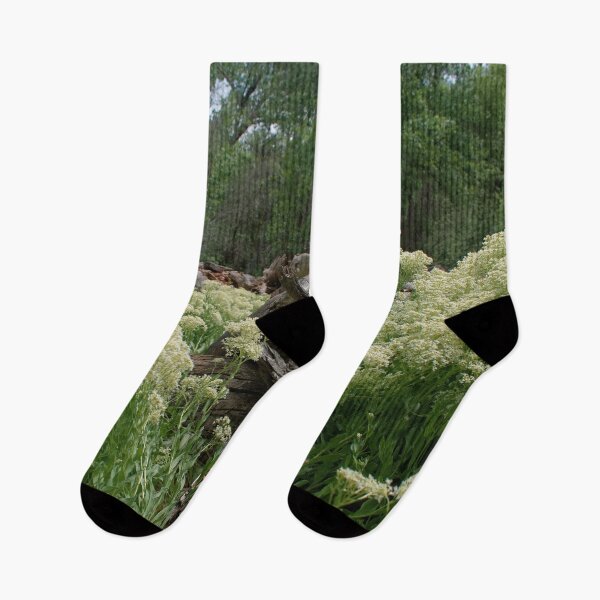 Item preview, Scenic forest and mountain nature designed and sold by Ventures1.