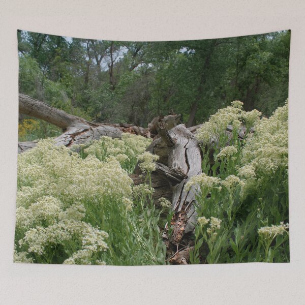 Item preview, Scenic forest and mountain nature designed and sold by Ventures1.