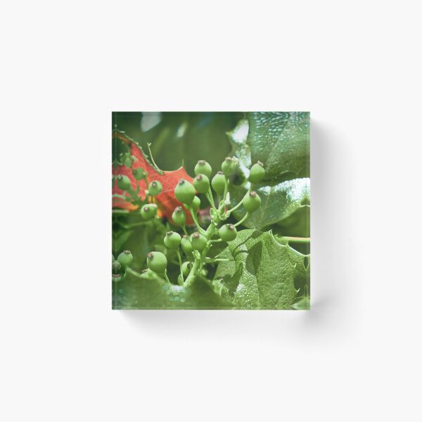 Item preview, Scenic forest and mountain nature designed and sold by Ventures1.