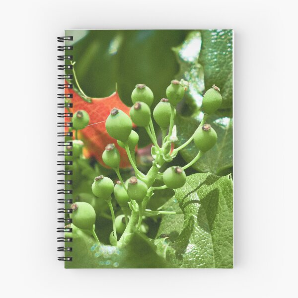 Item preview, Scenic forest and mountain nature designed and sold by Ventures1.
