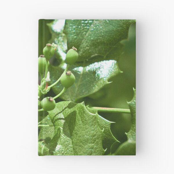 Item preview, Scenic forest and mountain nature designed and sold by Ventures1.