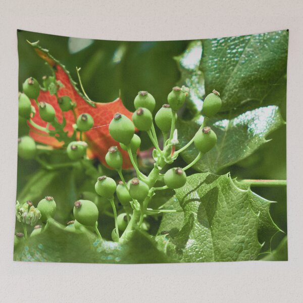 Item preview, Scenic forest and mountain nature designed and sold by Ventures1.