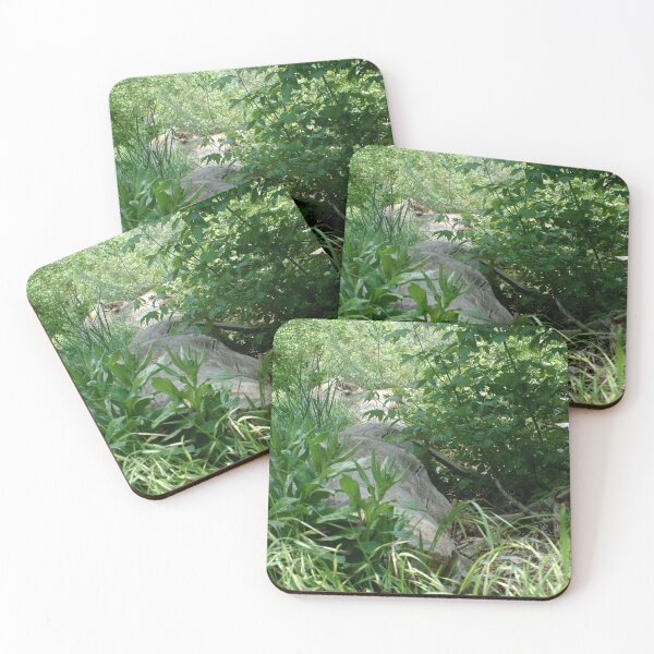 Item preview, Scenic forest and mountain nature designed and sold by Ventures1.
