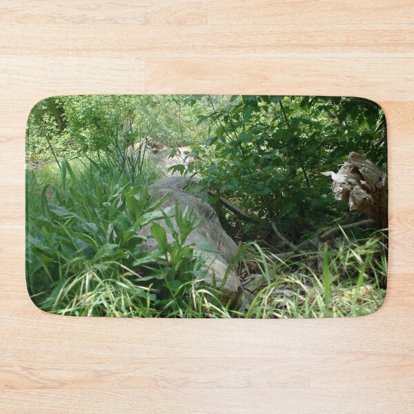 Item preview, Scenic forest and mountain nature designed and sold by Ventures1.