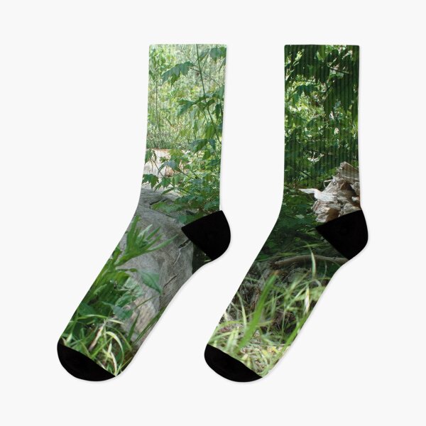 Item preview, Scenic forest and mountain nature designed and sold by Ventures1.