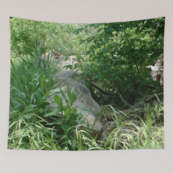 Item preview, Scenic forest and mountain nature designed and sold by Ventures1.