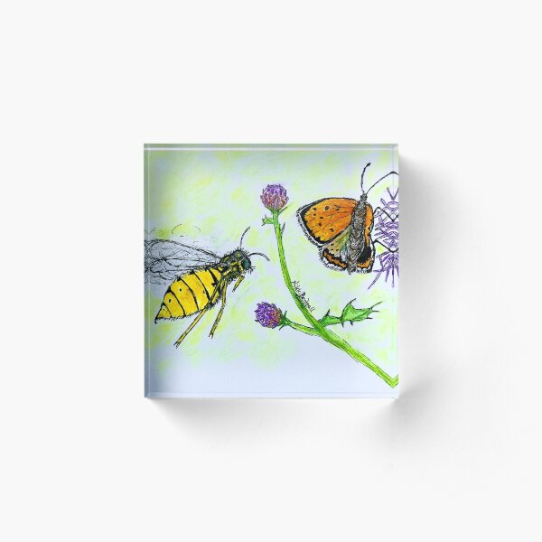 Butterfly Wasp Attack Acrylic Block