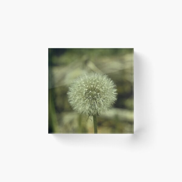 Item preview, Scenic forest and mountain nature designed and sold by Ventures1.