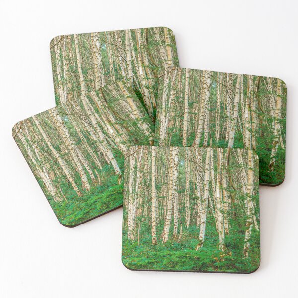 Item preview, Stark trunks of Silver Birch trees  designed and sold by Dalyndigital Photography.