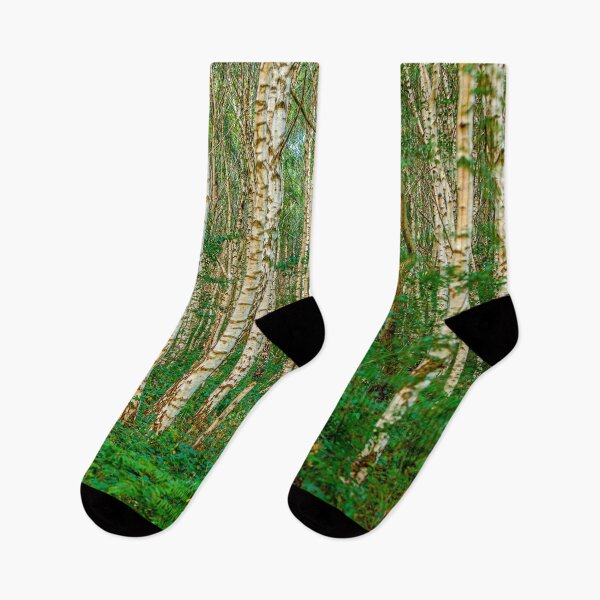 Item preview, Stark trunks of Silver Birch trees  designed and sold by Dalyndigital Photography.