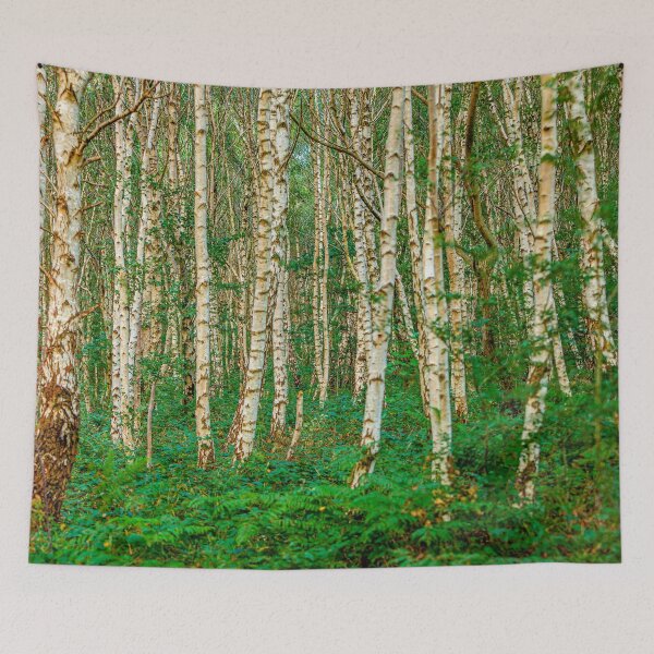 Item preview, Stark trunks of Silver Birch trees  designed and sold by Dalyndigital Photography.