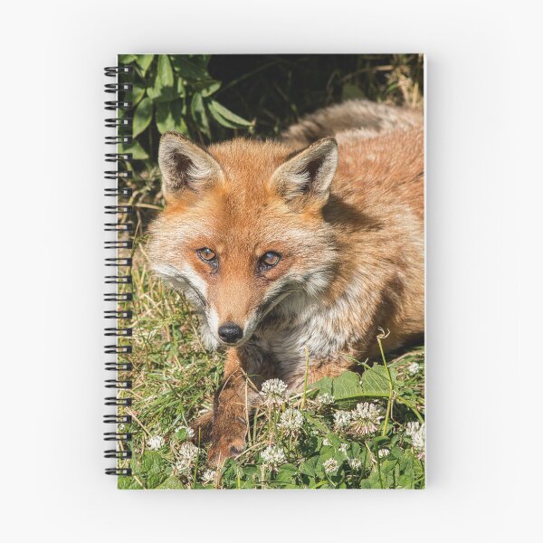 Item preview, Beautiful red fox designed and sold by HaleyRedshaw.
