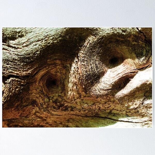 Item preview, Scenic forest and mountain nature designed and sold by Ventures1.