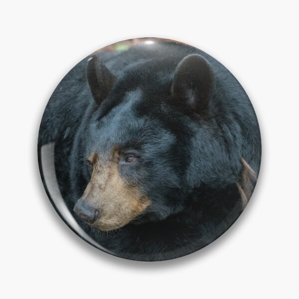 Item preview, Bearly Awake designed and sold by Karen Peron.