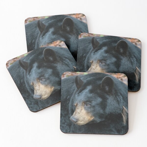 Item preview, Bearly Awake designed and sold by Karen Peron.
