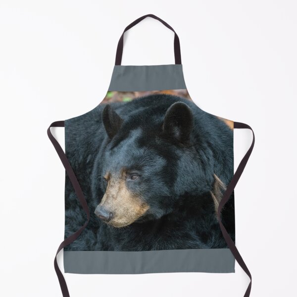 Item preview, Bearly Awake designed and sold by Karen Peron.